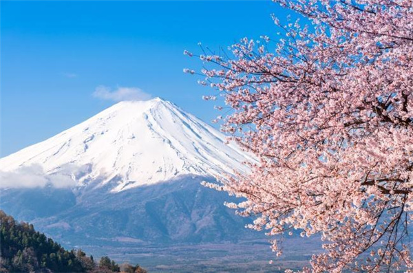 日本留学入学要提交哪些材料？